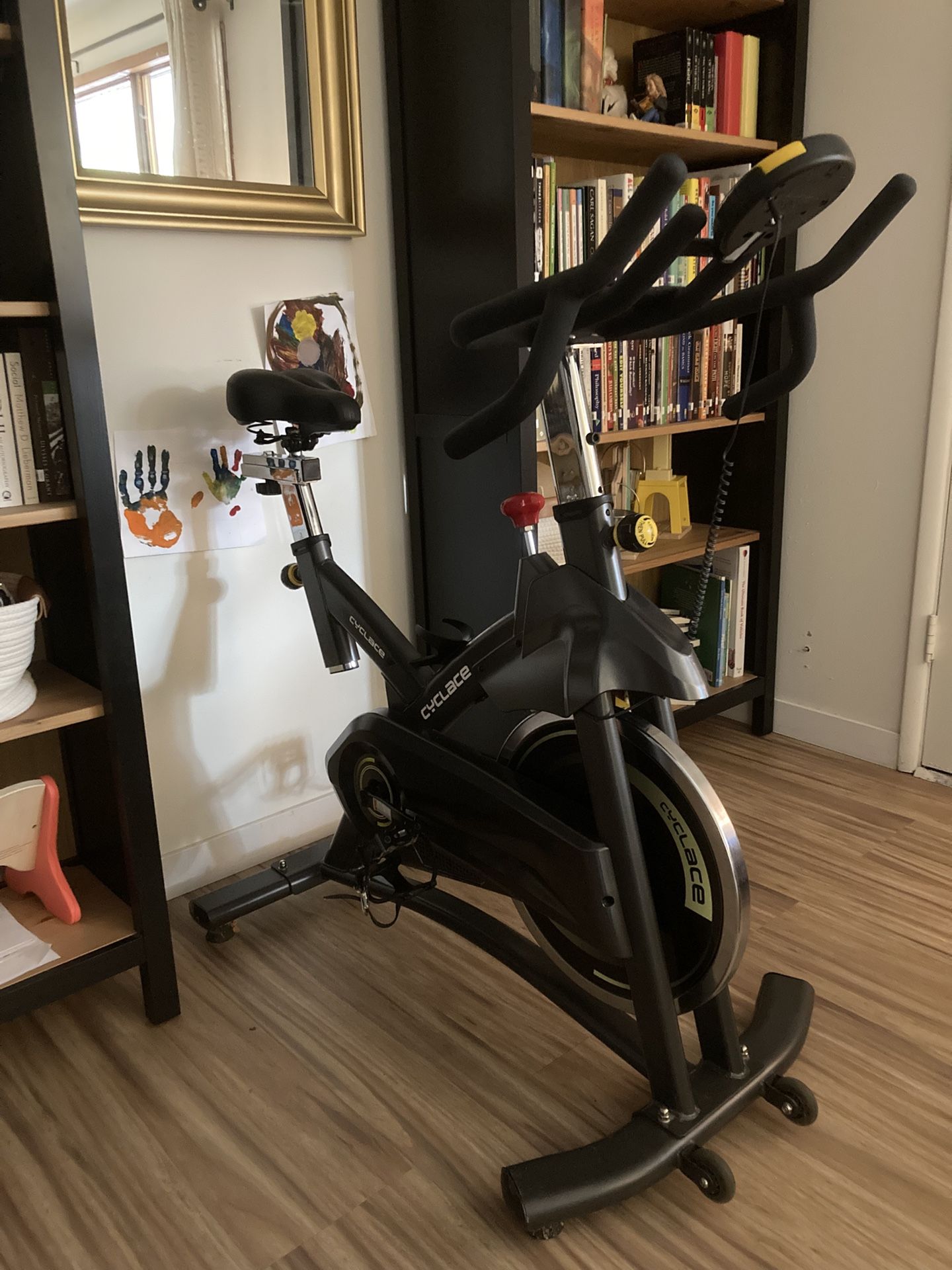 Cyclace Exercise Bike