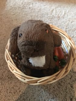 AMERICAN GIRL DOLL NUTMEG