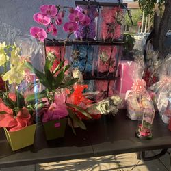 Mother’s Day Pop Up Sale