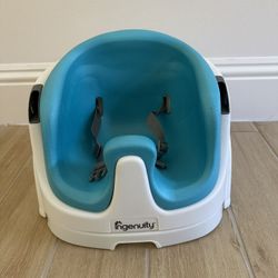 Ingenuity Booster Seat