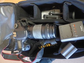 Canon d40