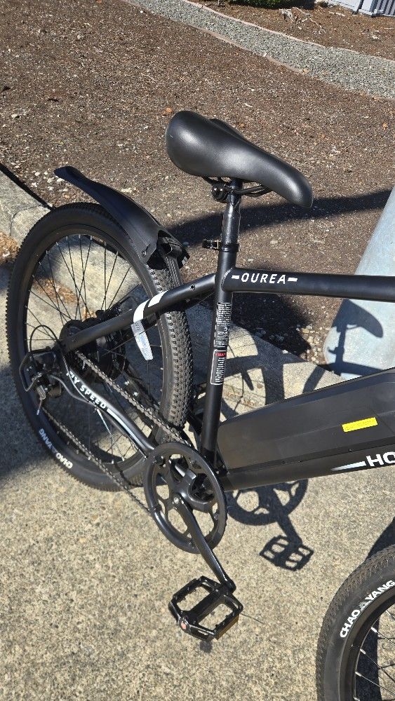 Electric Bike