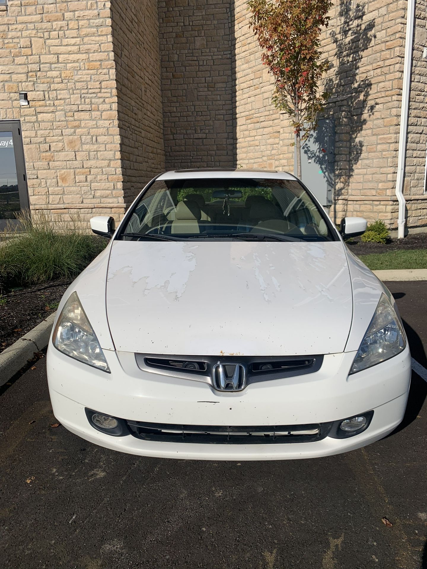 2005 Honda Accord