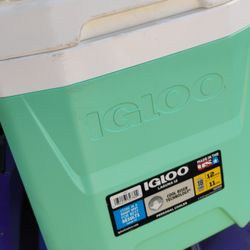 Igloo Cooler