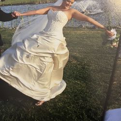 Demetrios Wedding Gown