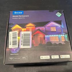 GOVEE PRO Outdoor Permanent Lights 100ft *NEW*