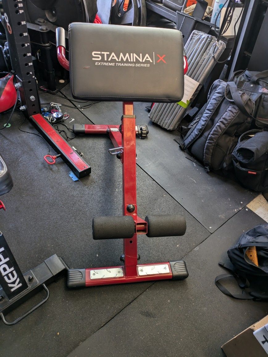 Stamina X Adjustable Back Raise And Exercise Bench