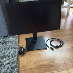 LG Monitor (21in)