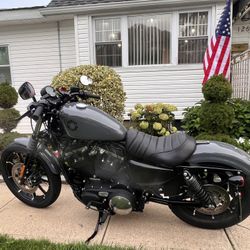 2021 Harley Davidson Iron 883