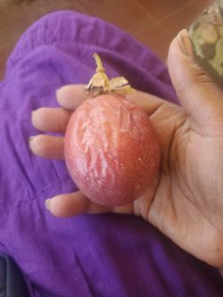 Organic Passion Fruit