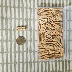 Small Clothes Pin
