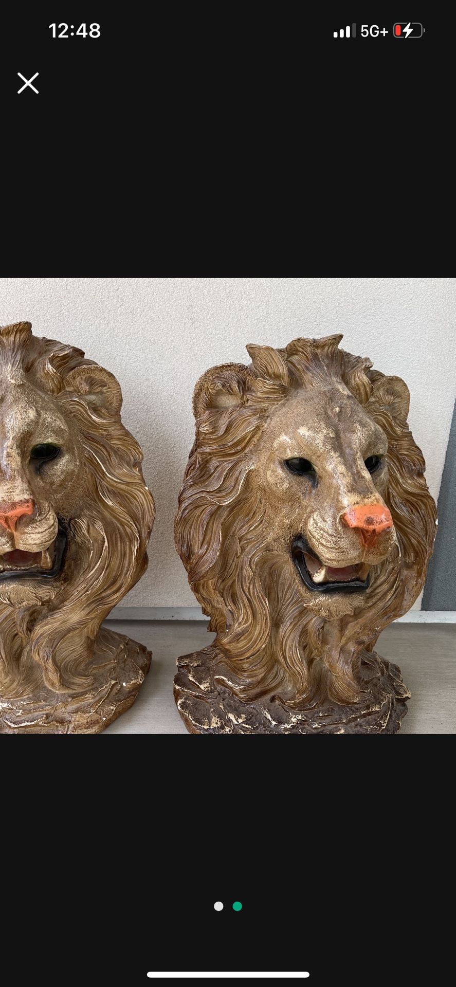 Lion Heads