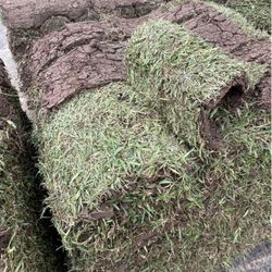Grass Sod For Sale