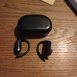 Earbuds