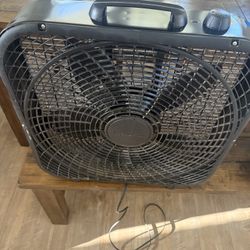 Fan