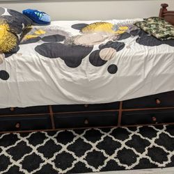 Trundle Bed And 2 Mattresses 