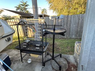 Outdoor Bird Perches