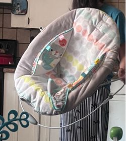 Baby bouncer