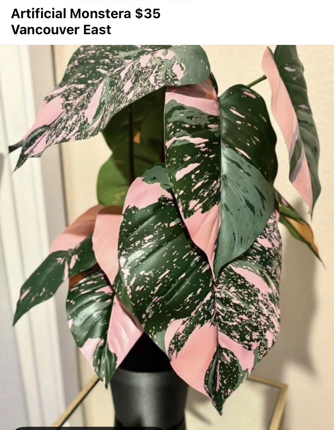 Monstera Thai Constellation Artificial Plant