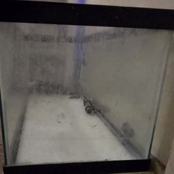 Fish/Reptile aquarium