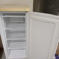 Upright Freezer
