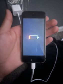 iPhone 5