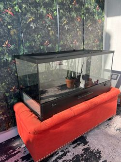 Large Glass Reptile Enclosure