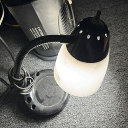 Desk Lamb For Any Room With White Coil Bulb 💡 