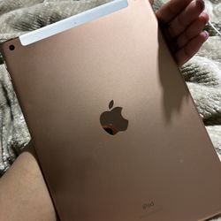 iPad 7th Gen 2019