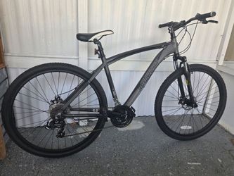 Ironhose bike,  wheels 29