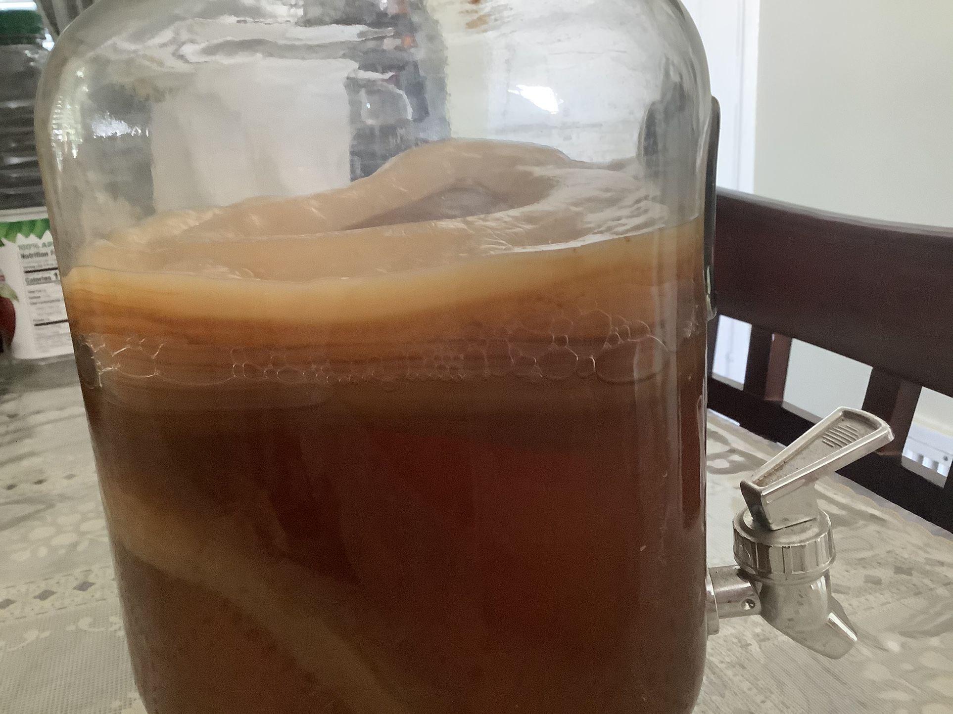 Kombucha Gratis