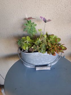 Rustic Galvanized Planter With 7 Plants