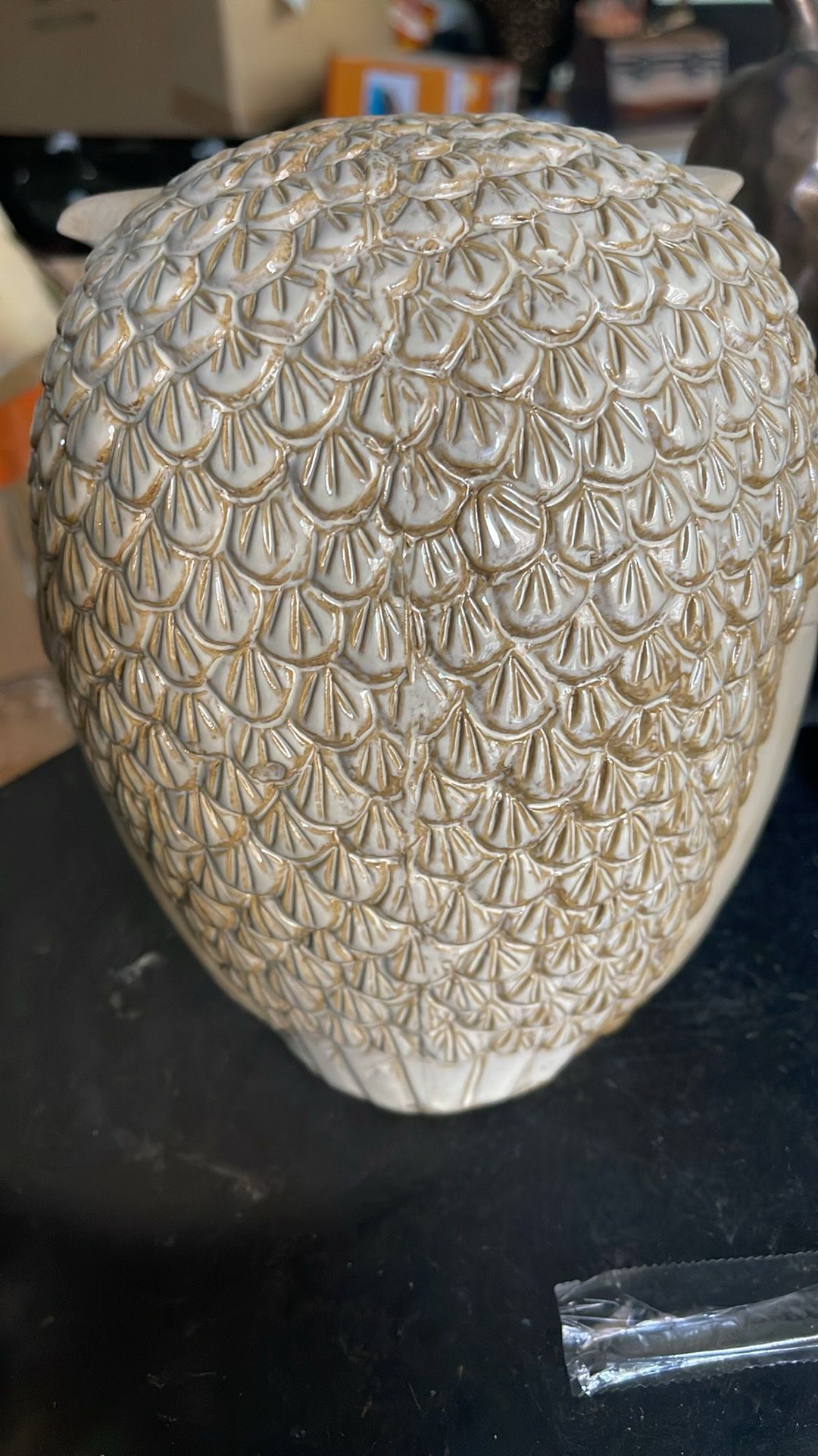 Owl