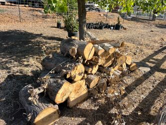 Cut Firewood Logs Pile