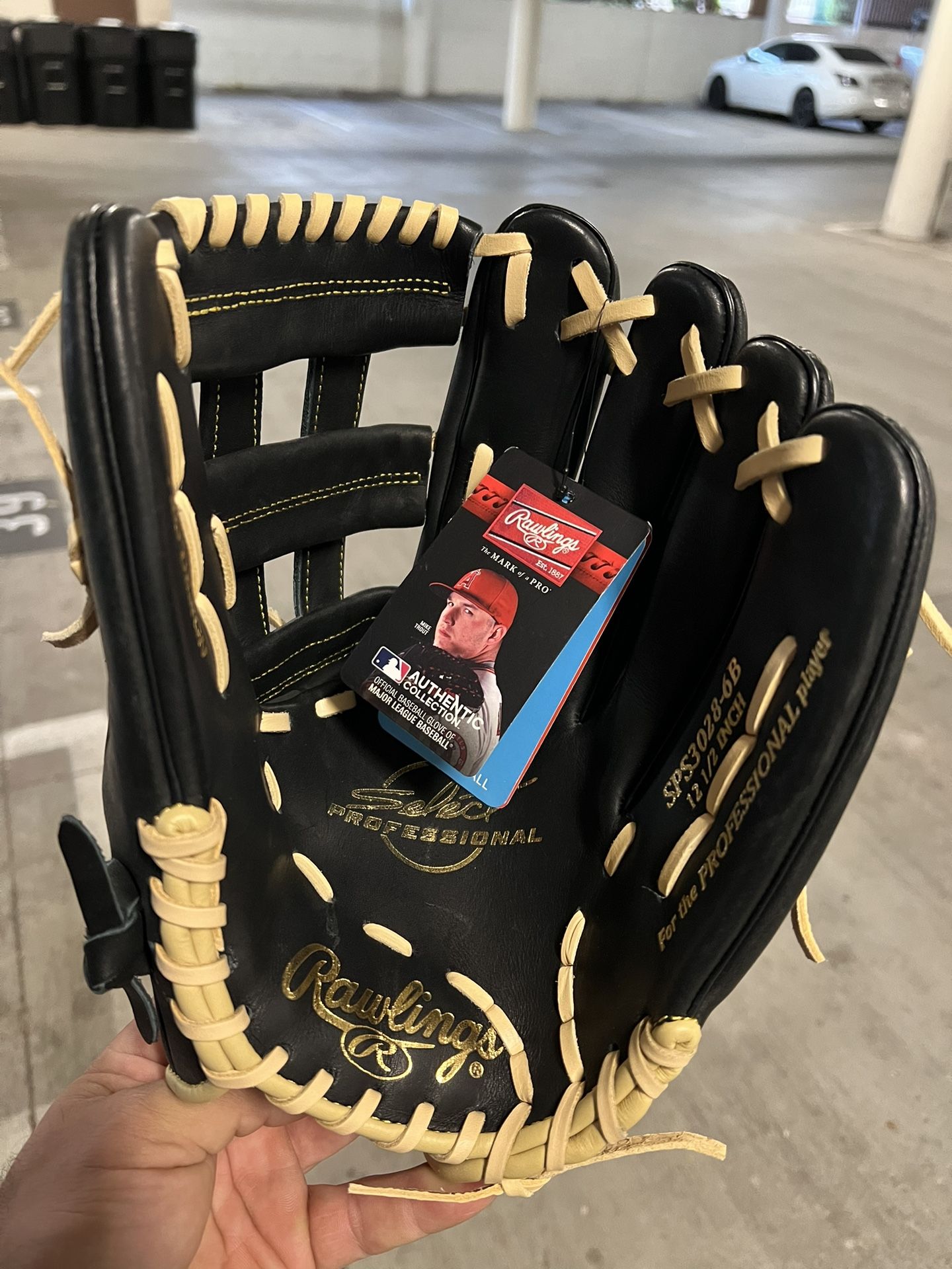 Baseball Glove