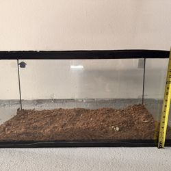 Reptile Terrarium