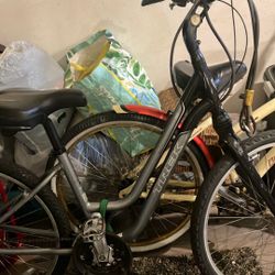 Trek Bike 