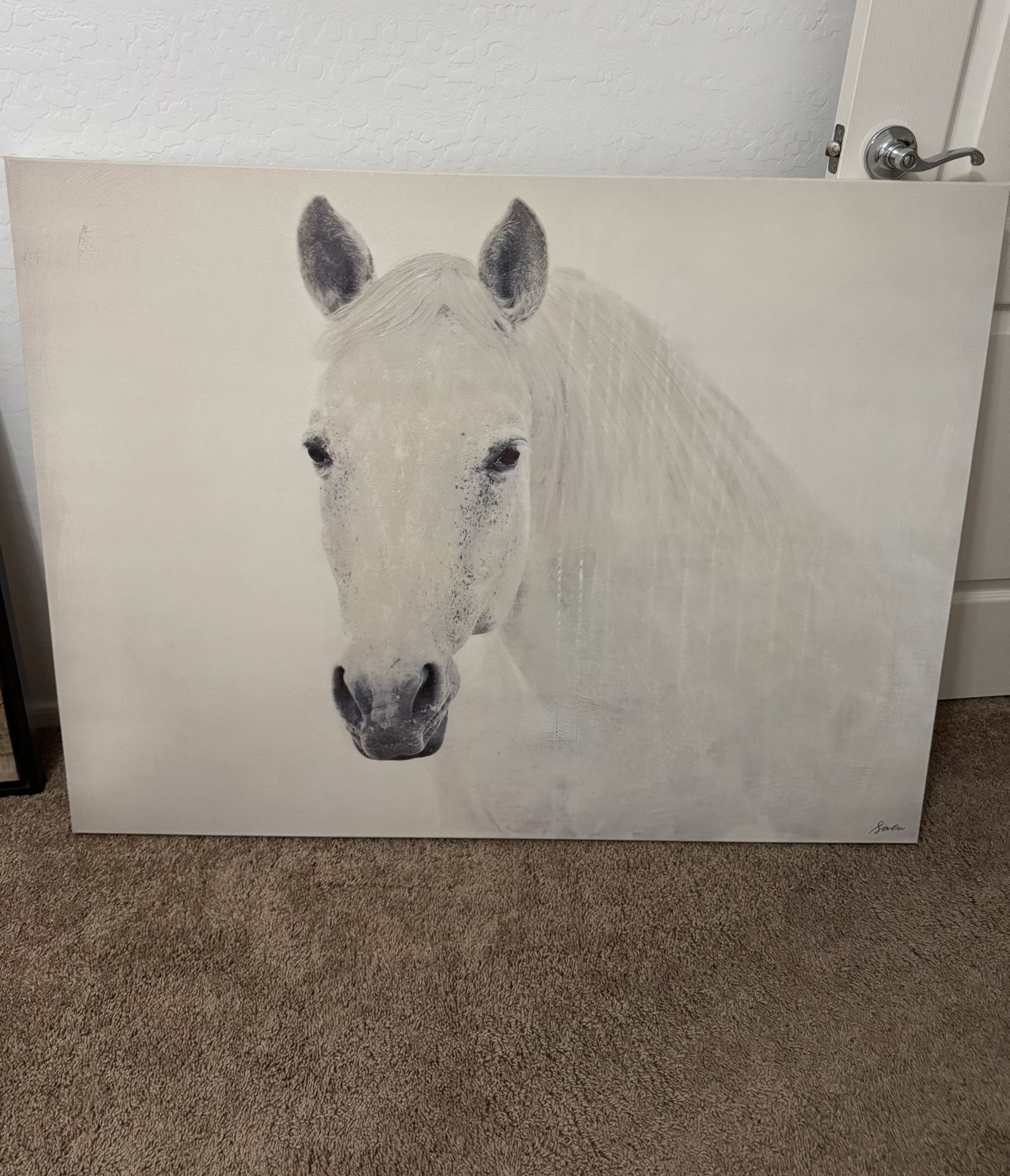 Horse picture
