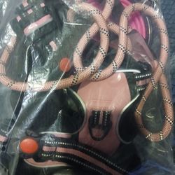 Pink Cute Dog Harness, Body Brace, Leash w/doggy Bags & Water Bowl ~$40