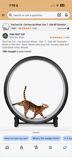One Fast Cat Wheel
