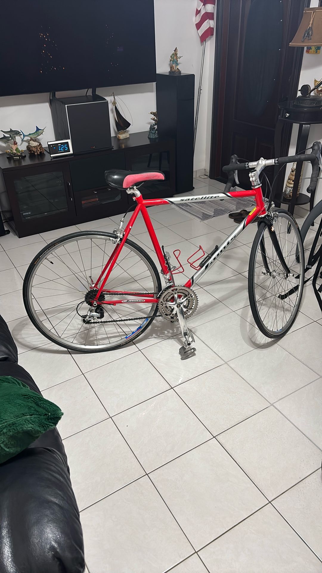 Jamis Road Bike Carbon Fork SIZE 55 cm