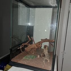 Reptile Aquarium 