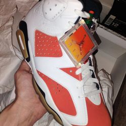 Nike Air Jordan 6 Gatorade Size 12