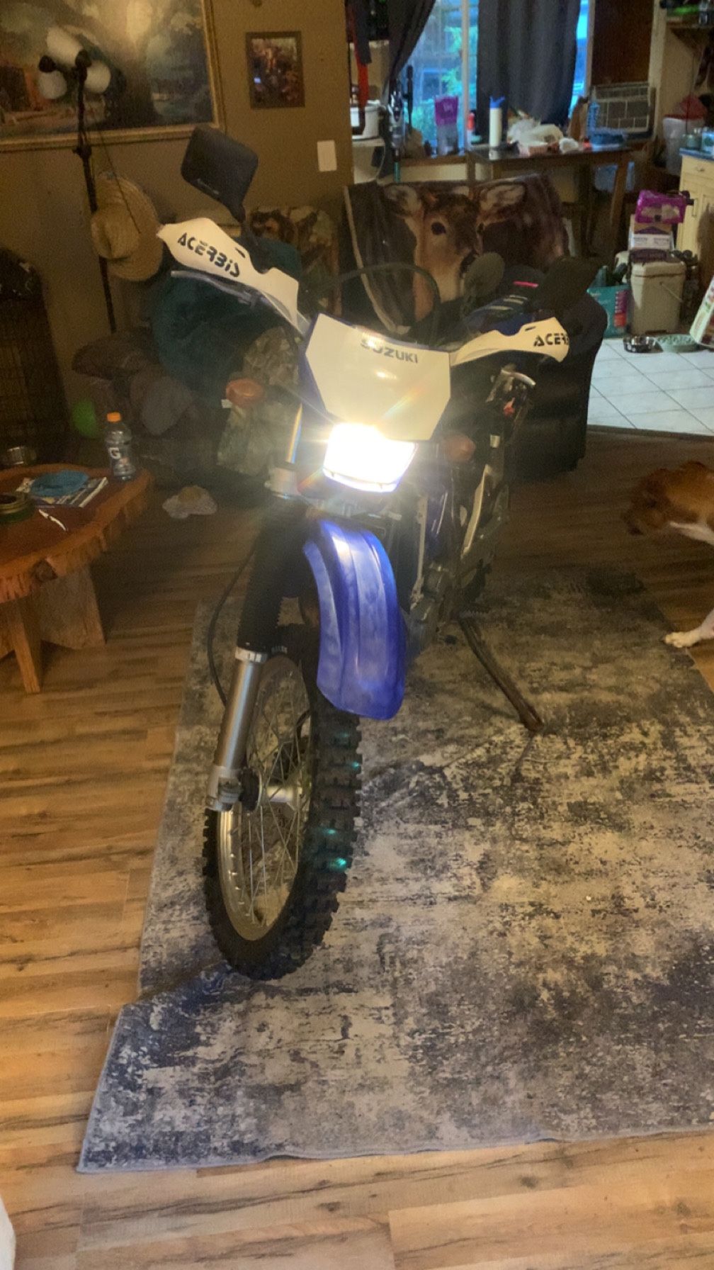 2001 Suzuki Drz