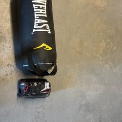 Everlast Punching Bag That’s Very Heavy And Phantom Athletic MMA Gloves 
