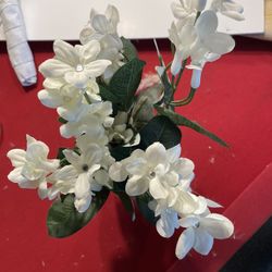 White Flowers