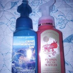 Bed Bath Body works Hand Soap 