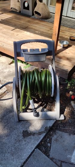 Garden Hose And Reel 