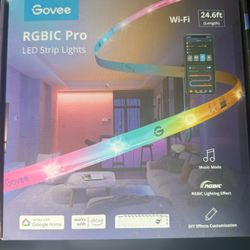 Govee RGBic LED Light String 50ft