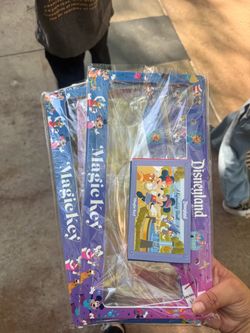 Disneyland License Plate Frame